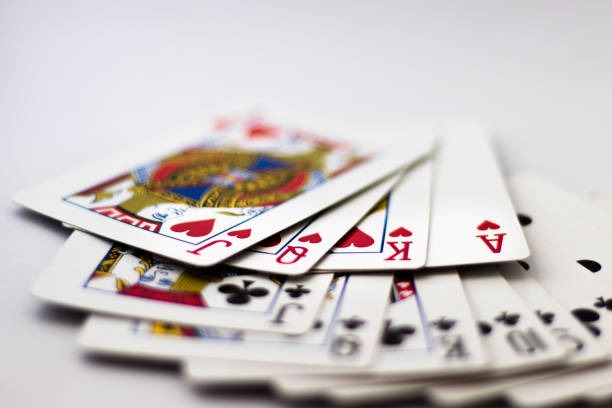 kokomi featured game showcase kokomi featured game showcase